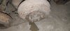 IMG_20260828_144711.jpg
