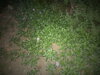 DSC00653.JPG