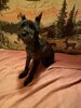 ZHHRiE5-KRZYn_V_17w2rzngB3rTkDcrnfkUBnPQjYxF6L_-jYo4ON9dzUrA-4HSxm8U91hjU-YMymE6wefou_nidByIZw.jpg