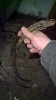 WP_20160314_21_15_28_Pro.jpg