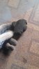 20160317_134632.jpg