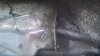 WP_20160731_12_42_45_Pro.jpg