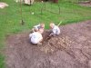 IMG_20160717_113746.jpg