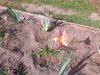 IMG_20160814_132854.jpg
