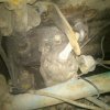 0-02-01-cb23afeea0aa2da4ae2b7d9ebc312e6072dbedc27efd981e49232f1d7c9722e7_full.2.jpg