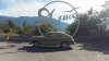20160611_075554.jpg