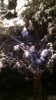 0-02-05-be619ac2fe54488c08e28a495e8254697c558384204ef7082164ad9556e37add_full.jpg